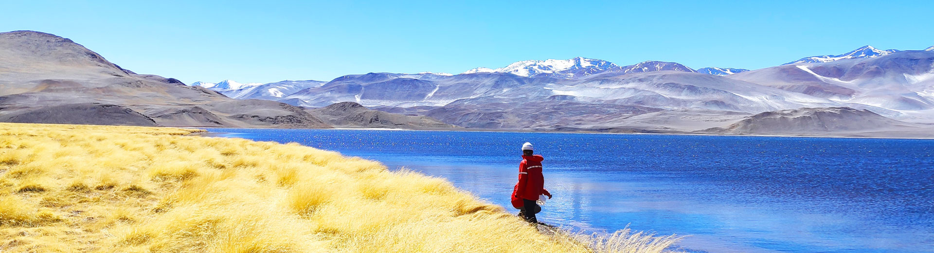 Cambio climático