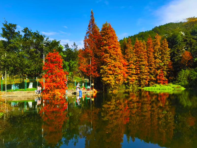 Momentos Capturados: La Belleza Única de la Mina de Cobre y Oro Zijinshan