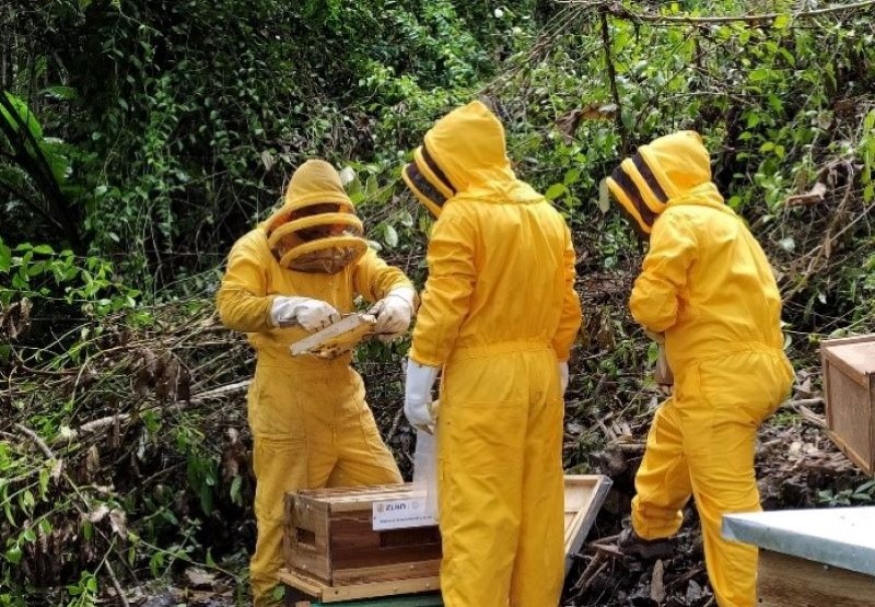 La Asociación Apícola La Reserva: Un Sueño de Campesinos de Buriticá Hecho Realidad Gracias al Apoyo de Zijin Continental Gold